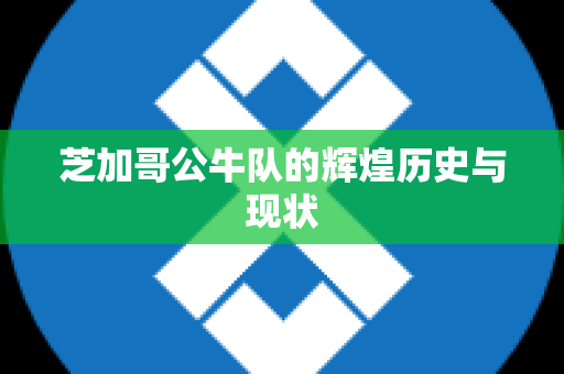 芝加哥公牛队的辉煌历史与现状