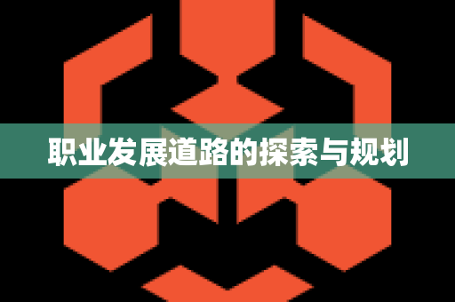 职业发展道路的探索与规划