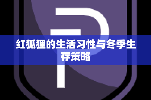 红狐狸的生活习性与冬季生存策略