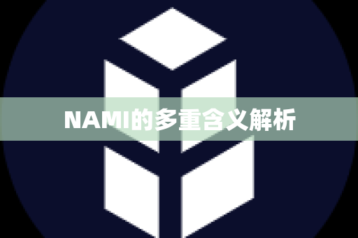 NAMI的多重含义解析
