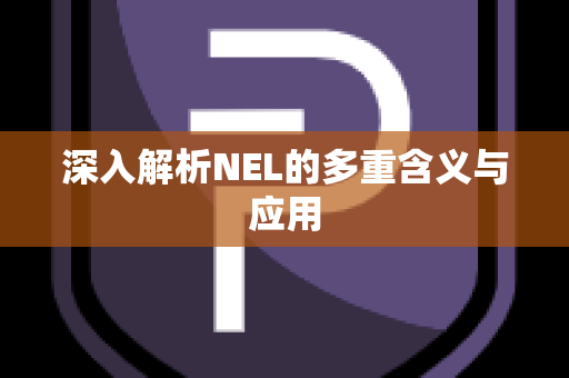 深入解析NEL的多重含义与应用