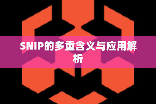SNIP的多重含义与应用解析