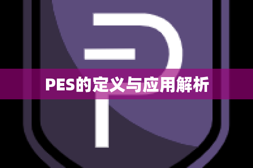 PES的定义与应用解析