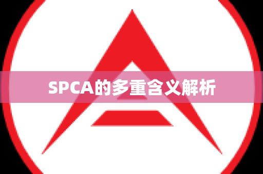 SPCA的多重含义解析