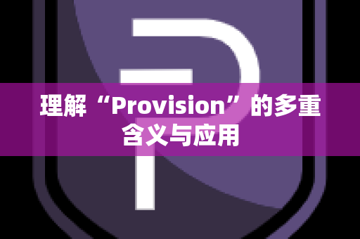 理解“Provision”的多重含义与应用