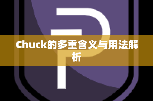 Chuck的多重含义与用法解析