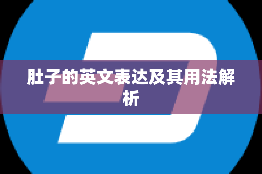 肚子的英文表达及其用法解析