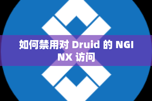 如何禁用对 Druid 的 NGINX 访问