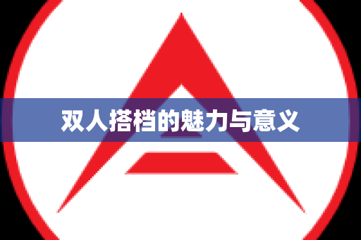 双人搭档的魅力与意义